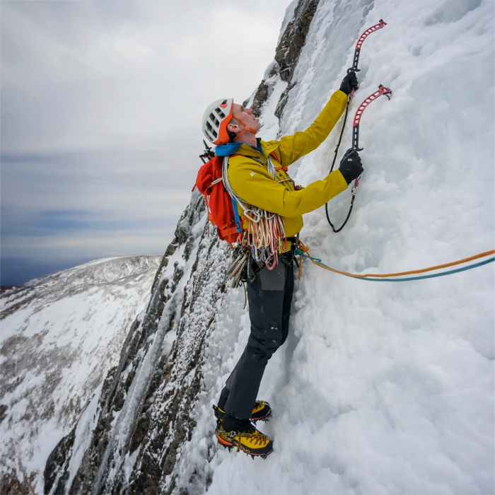 DMM Cortex Pair - Image 7